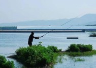 冬天钓鱼技巧钓鱼有哪些？如何应对冬季钓鱼的常见问题？