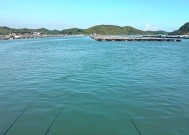 海南野钓金鲳鱼技巧有哪些？如何提高钓获率？