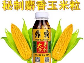 钓鱼技巧鱼饵怎么弄？自制鱼饵的正确方法是什么？