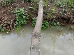 涨水钓鱼技巧与方法（掌握这个）