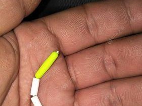 冬末春初钓鱼技巧指南（掌握关键技巧）