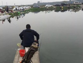 钓鱼高手的四大诱鱼技巧（窥探渔人奥秘，掌握钓鱼绝技！）