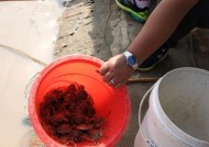 海里钓鱼钓螃蟹技巧和方法有哪些？如何提高捕蟹成功率？
