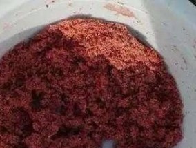 钓鱼打窝方法有什么技巧？如何提高钓鱼成功率？