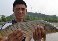揭秘柬埔寨插竿钓鱼技巧（掌握钓鱼技巧）