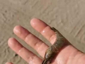 冬天深水坑钓鱼技巧和方法是什么？如何提高冬季深水钓鱼的成功率？
