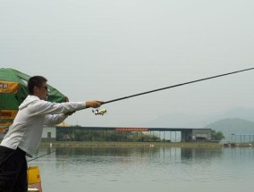 海竿猪肝钓鱼技巧（揭秘海竿猪肝钓鱼的窍门）