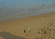 海上钓鱼新手技巧教学？如何快速掌握海上钓鱼的要点？