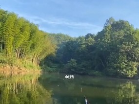 新手如何自学钓鱼技巧？常见问题有哪些解决方法？