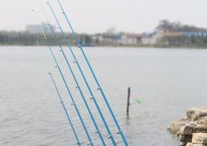掌握海竿钓鱼技巧与方法（海竿钓鱼）