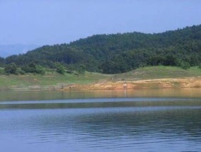 水库农庄钓鱼技巧（探秘钓鱼技巧）
