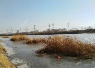 冰层钓鱼的技巧有哪些呢？如何安全有效地进行冰钓？