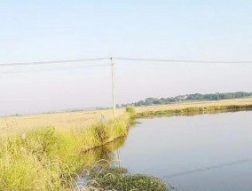 冬天躲水底钓鱼技巧有哪些？如何提高冬季钓鱼成功率？