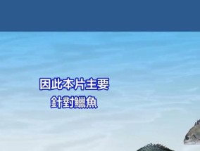 新手钓鱼技巧入门需要哪些诱饵？如何正确使用诱饵提高钓鱼效率？