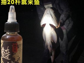 黑色鱼饵搭配技巧（提升钓鱼成功率的专家指南）