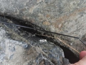 崩杆尖钓鱼技巧是什么？如何提高钓鱼成功率？