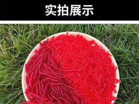 利用蛆红虫钓鱼技巧（掌握正确的蛆红虫使用方法与技巧）