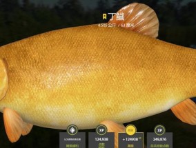 俄罗斯水族馆钓鱼技巧（探秘水族馆内的钓鱼技巧）