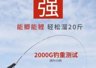 鲫鱼钓鱼技巧与方法详解（掌握鲫鱼钓鱼的要领）