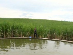 垃圾水坑钓鱼的技巧与方法（钓鱼爱好者必备知识）