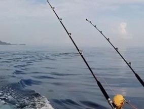 钓鱼找位子的技巧（掌握关键点，轻松寻找钓鱼位置）
