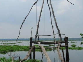 半死水湖钓鱼技巧有哪些？如何提高钓鱼成功率？