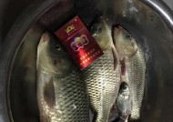 冬天夜钓鲫鱼最佳时间是什么时候？有哪些技巧可以提高成功率？