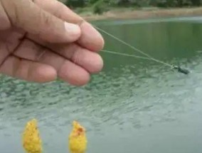 冬季红虫拉饵野钓调漂技巧教程（掌握红虫拉饵技巧）
