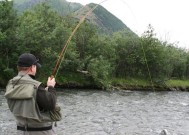 初夏钓鱼的最佳方法和技巧（享受初夏阳光下的钓鱼乐趣，一起来探索吧！）