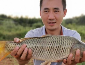 控竿溜鱼技巧有哪些？如何提高钓鱼控竿溜鱼效果？