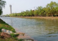 冬天大风钓鱼技巧和方法是什么？如何应对风大天气钓鱼？