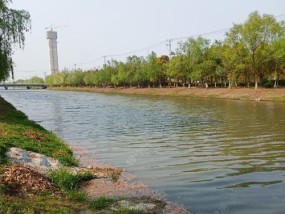 冬天大风钓鱼技巧和方法是什么？如何应对风大天气钓鱼？