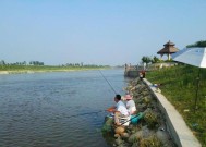 冬天河道深水钓鱼技巧与方法是什么？如何提高冬季钓鱼成功率？