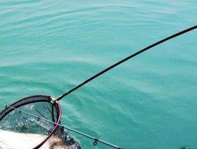 钓鱼技巧大全——赵湾水库钓鱼攻略（掌握钓鱼技巧）