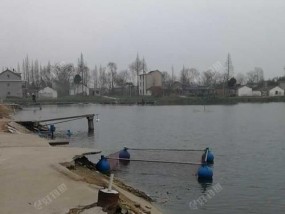 海河钓鱼技巧教程？如何提高海河钓鱼的成功率？