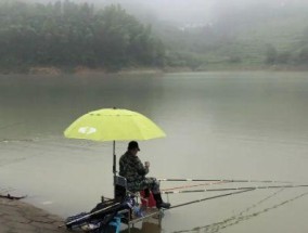 夏季阴天钓鱼技巧教学（提升夏日阴天钓鱼技能）