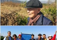 寒露霜降期间钓鱼技巧有哪些？如何应对气候变化提高渔获？
