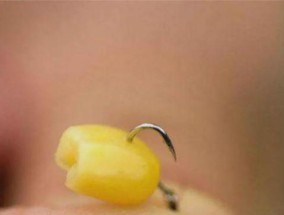 钓鱼挂玉米粒的技巧（巧用玉米粒，提升钓鱼效果）