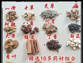 钓鱼技巧新手入门小药方（学会这些技巧，让你成为钓鱼高手！）