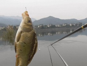 钓鱼灵顿调节技巧是什么？如何有效掌握？