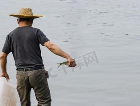 如何运用三拨人赶鱼技巧提高钓鱼捕鱼效率？