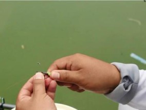 钓鱼技巧（选择浮漂和调漂技巧，让你的钓鱼更成功）