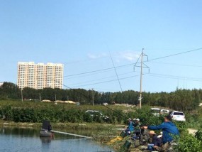鱼池放水钓鱼技巧（掌握鱼池放水钓鱼的窍门）