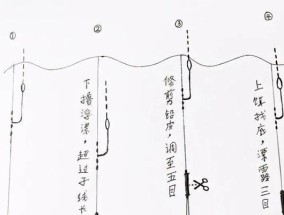 钓鱼技巧（提高钓鱼技术，掌握双铅调漂的技巧窍门）