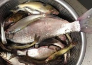 冬天野钓小杂鱼技巧有哪些？如何有效避免小杂鱼干扰？