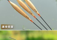 岸边芦苇杆钓鱼技巧和方法有哪些？如何提高钓鱼成功率？