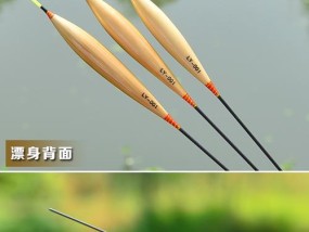 岸边芦苇杆钓鱼技巧和方法有哪些？如何提高钓鱼成功率？