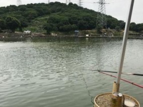 农村手工挖鱼塘钓鱼技巧（农村钓鱼新手必备）