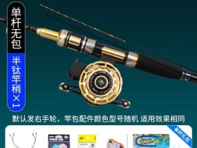 钓鱼技巧大揭秘（掌握排线钓鱼的方法）