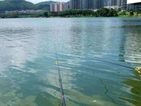 浚县沙坑钓鱼技巧（掌握这些技巧）